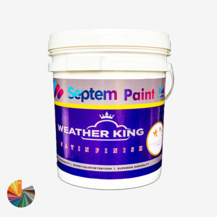 WEATHER KING-SATIN 20ltr